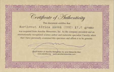 Lot #8155  Northwest Africa Vesta Meteorite Slice - Image 3