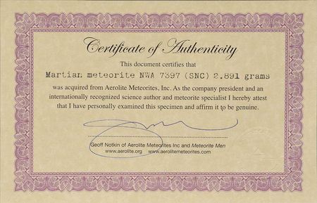 Lot #8153  Northwest Africa Martian Meteorite - Image 2