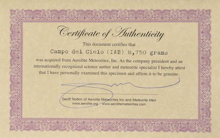 Lot #8145  Campo del Cielo Iron Meteorite - Image 3