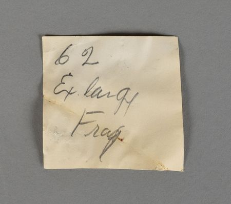 Lot #8144  American Meteorite Laboratory Tektite Collection - Image 9