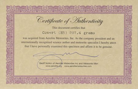 Lot #8147  Covert Stone Meteorite Slice - Image 3