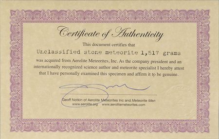 Lot #8156  Saharan Stone Meteorite - Image 3