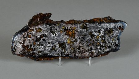 Lot #8157  Seymchan Pallasite Meteorite Slice - Image 1