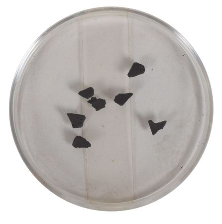 Lot #8039  Apollo 11: LIOH Cartridge Activated Charcoal  - Image 1