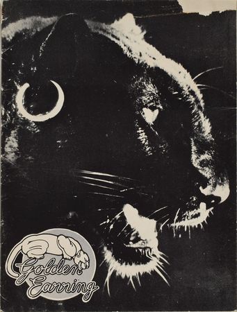 Lot #672 Lynyrd Skynyrd Crash Item - Image 1