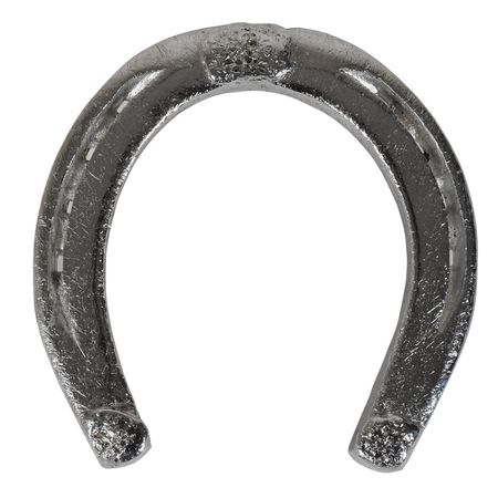Lot #86 John F. Kennedy Funeral Horseshoe: 