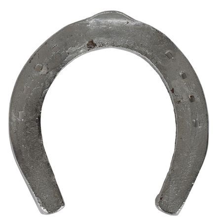 Lot #86 John F. Kennedy Funeral Horseshoe: 