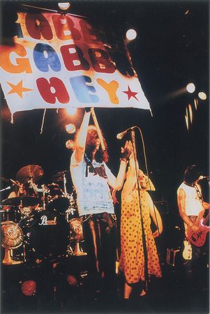 Lot #2390  Ramones 'Pinhead' Stage-Worn Dress - Image 2