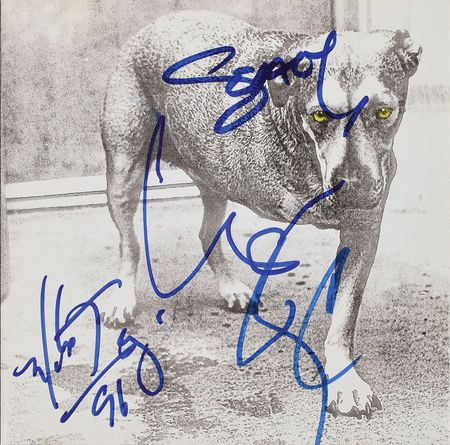 Lot #2485  Alice in Chains Signed CD - Image 1