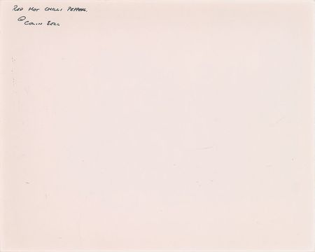 Lot #2497  Red Hot Chili Peppers Original Photograph - Image 2