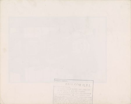 Lot #2447  Stray Cats Oversized Original Photograph - Image 2