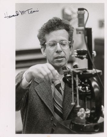 Lot #47 Genetics: Temin and Tatum Group Lot - Image 1