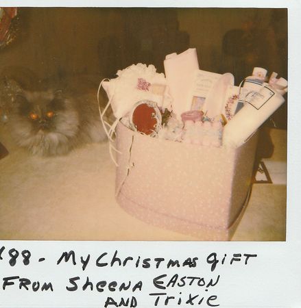 Lot #6177  Prince Paisley Park Christmas Collection - Image 2