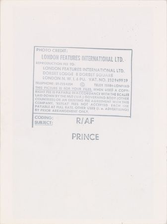 Lot #6028  Prince Purple Rain Tour Original Photograph - Image 2