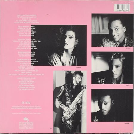 Lot #6148  Prince and The Family Set of (4) Items - Image 4