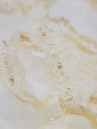 Lot #5003  Princess Diana's Wedding Dress Spangled Lace for Train and Bottom of Dress - Image 3