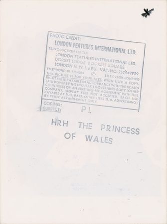 Lot #5043  Princess Diana - Image 4