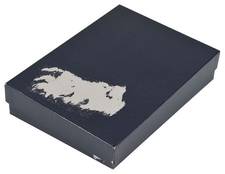 Lot #5025  Princess Diana Signed Photograph - Image 3