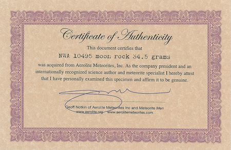 Lot #9216  Northwest Africa Lunar Meteorite - Image 6