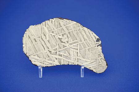 Lot #9217  Seymchan Pallasite Siderite Meteorite Slice - Image 2