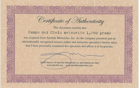 Lot #9218  Campo del Cielo Iron Meteorite - Image 3