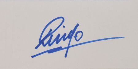 Lot #647 Beatles: Ringo Starr Serigraph - Image 2