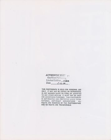 Lot #792 Marilyn Monroe Photograph - Image 2