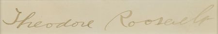 Lot #225 Theodore Roosevelt Signature - Image 2