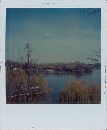 Lot #4031  Prince Group of (3) Polaroids - Image 1