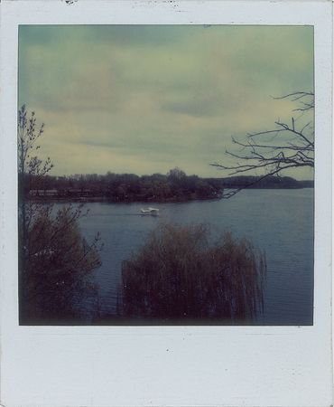 Lot #4031  Prince Group of (3) Polaroids - Image 2