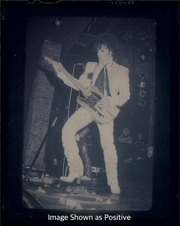 Lot #4062  Prince Pair of Negatives - Image 3