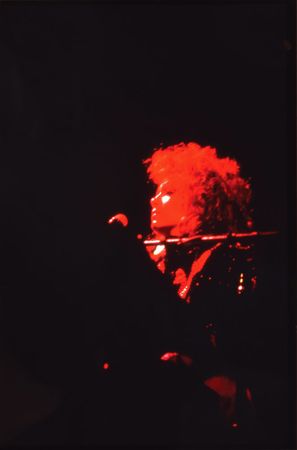 Lot #4084  Prince Band Members Group of (17) Slides - Image 5