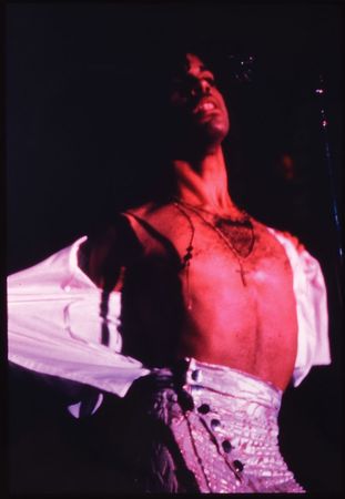 Lot #4085  Prince Group of (8) Slides - Image 7