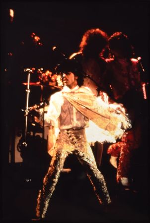 Lot #4086  Prince Group of (8) Slides - Image 5