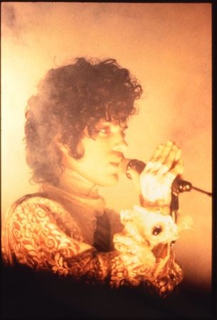 Lot #4086  Prince Group of (8) Slides - Image 7