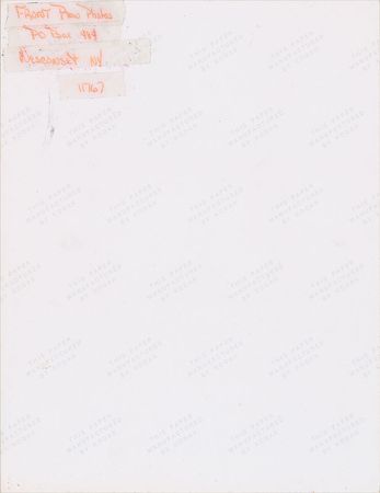 Lot #4075  Prince Group of (5) 1985 Purple Rain Tour Color Photographs - Image 7