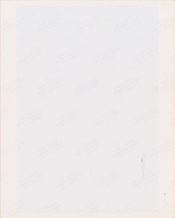 Lot #4066  Prince 1984 Pre-Purple Rain Tour Original Vintage Color Photograph by Nancy Bundt - Image 2
