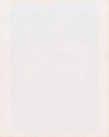 Lot #4067  Prince 1984 Pre-Purple Rain Tour Original Vintage Color Photograph by Nancy Bundt - Image 2