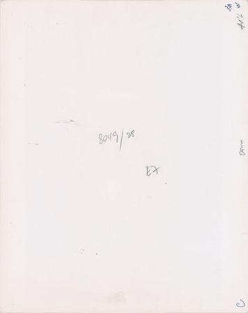 Lot #4175  Prince Original Unpublished Oversized Photograph by Randee St. Nicholas - Image 2
