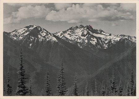 Lot #500 Ansel Adams: 
