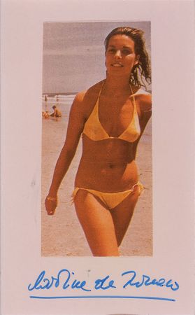 Lot #441 Princess Caroline Group Lot - Image 1