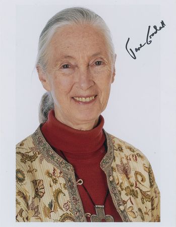 Lot #415 Jane Goodall Group Lot - Image 1
