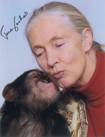 Lot #415 Jane Goodall Group Lot - Image 2