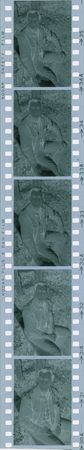 Lot #841 Robert Taylor - Image 6