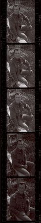 Lot #841 Robert Taylor - Image 11