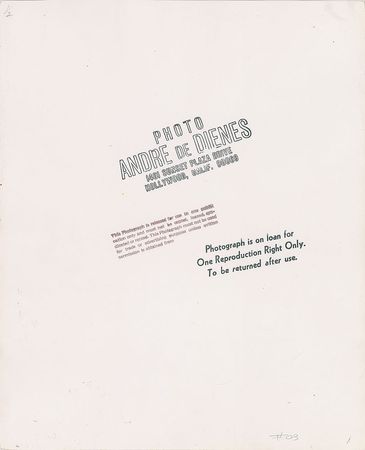 Lot #5284 Marilyn Monroe Original Photograph - Image 2