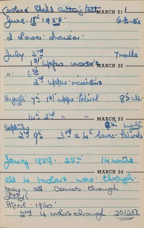 Lot #180 Kennedy Family: Maude Shaw: The personal diary of the Kennedy White House nanny - Image 3