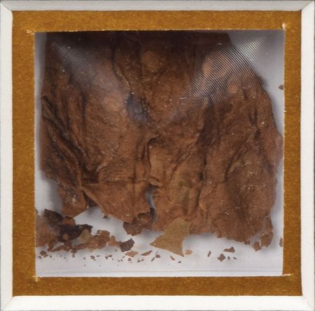 Lot #334 Winston Churchill Cigar - Image 2