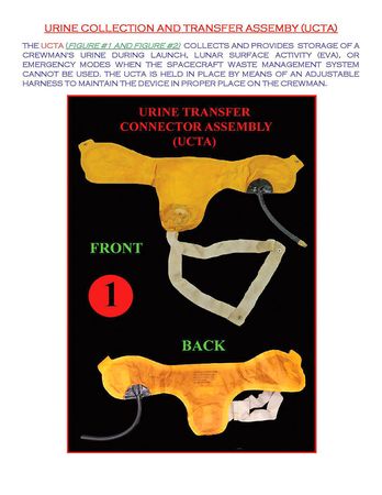 Lot #6275  Urine Collection and Transfer Assembly - Image 6