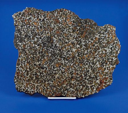 Lot #6001  Sericho Pallasite Meteorite Slice - Image 1